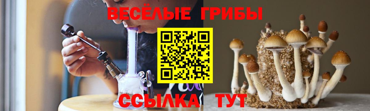 Псилоцибиновые грибы GOLDEN TEACHER Уссурийск